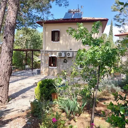 Yok2 Villa *